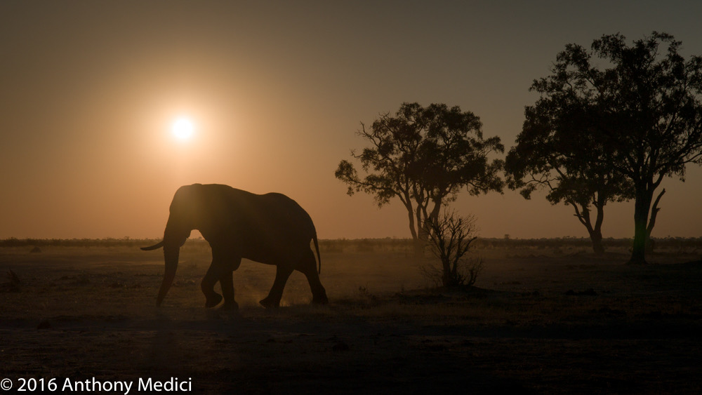 bythom 8-13-okavango-am-10.jpg