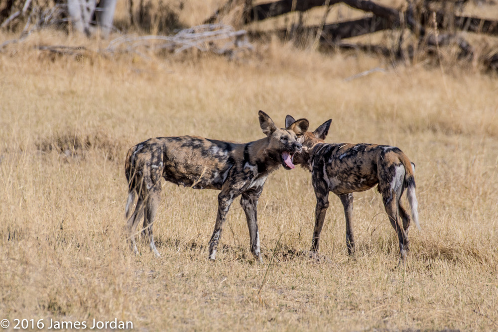 bythom 8-9-moremi jj2-18.jpg