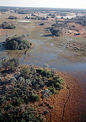 CG-24-Botswana-Aerial.JPG