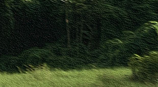 INT COSTA-RICA 12-2014 LX100 15795crop.jpg