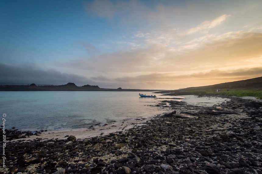 Masood-Galapagos-20140411-05- M7A2218.jpg